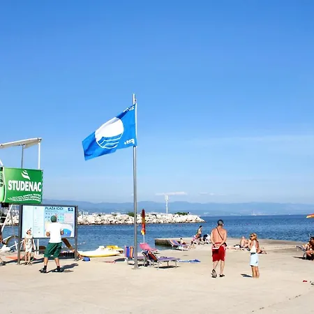 Family Friendly House With A Swimming Pool Poljane, Opatija - 21312 Holiday home *